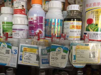 如何拿下10億元海南芒果農資大市場？聚焦農作物種子經(jīng)營策略