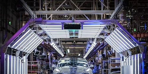 最“南”之年已過，這6款年度車型值得被銘記